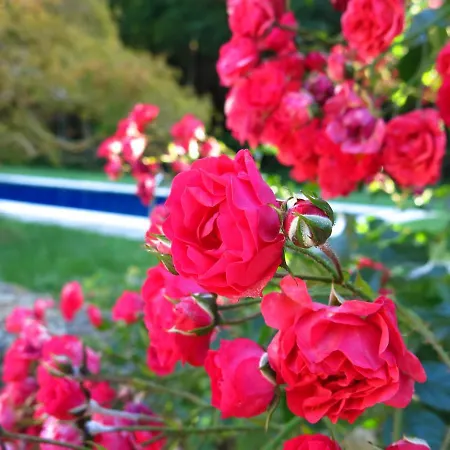 Casa Do Reguengo Country house San Salvador de Souto (Braga)